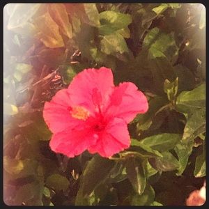 Bundle or make an offer! Cleaning house!!